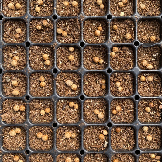 Seed Starting 101 ~ Part One ~ Getting Started