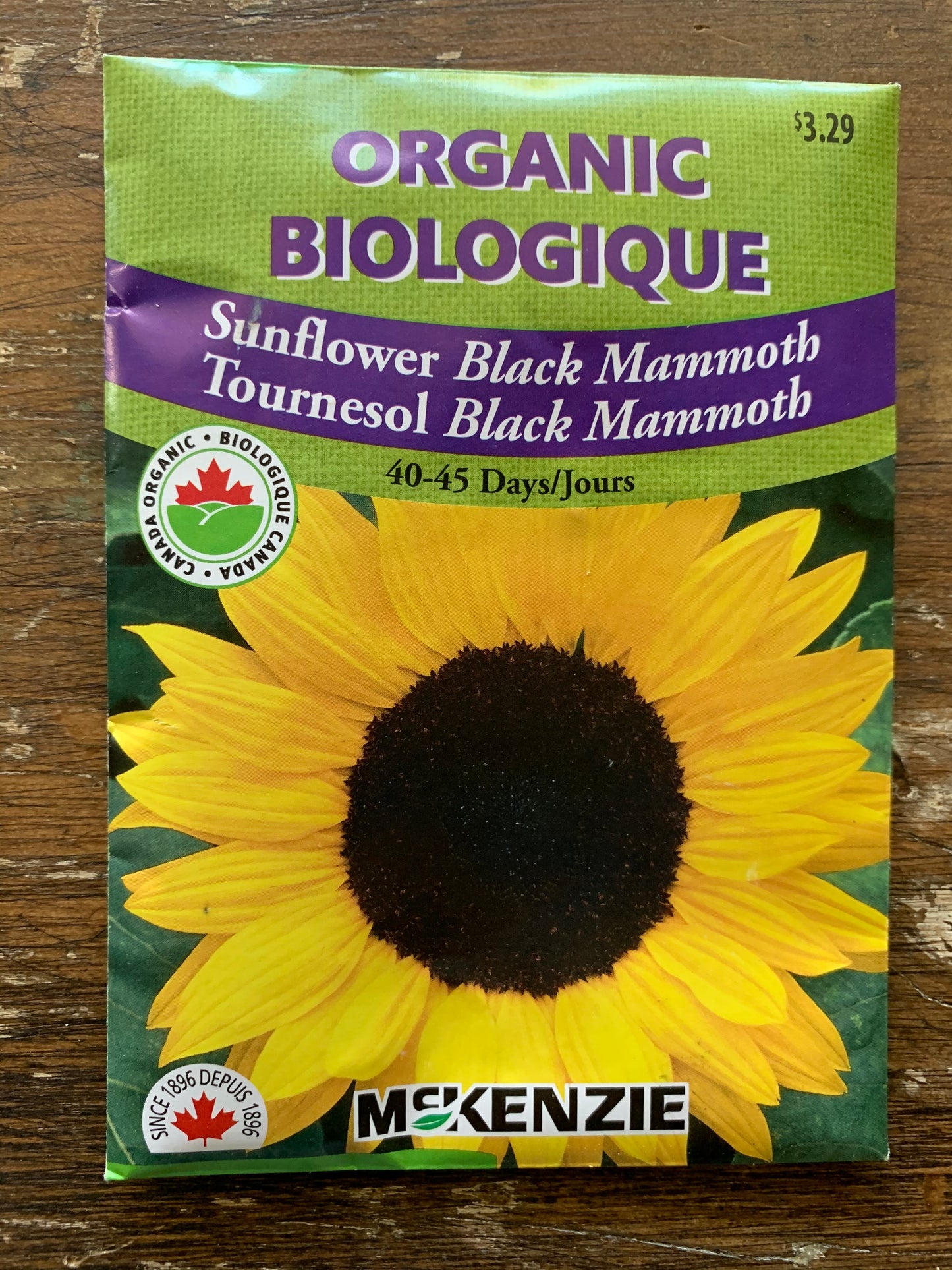 Sunflower - Giant Seeds