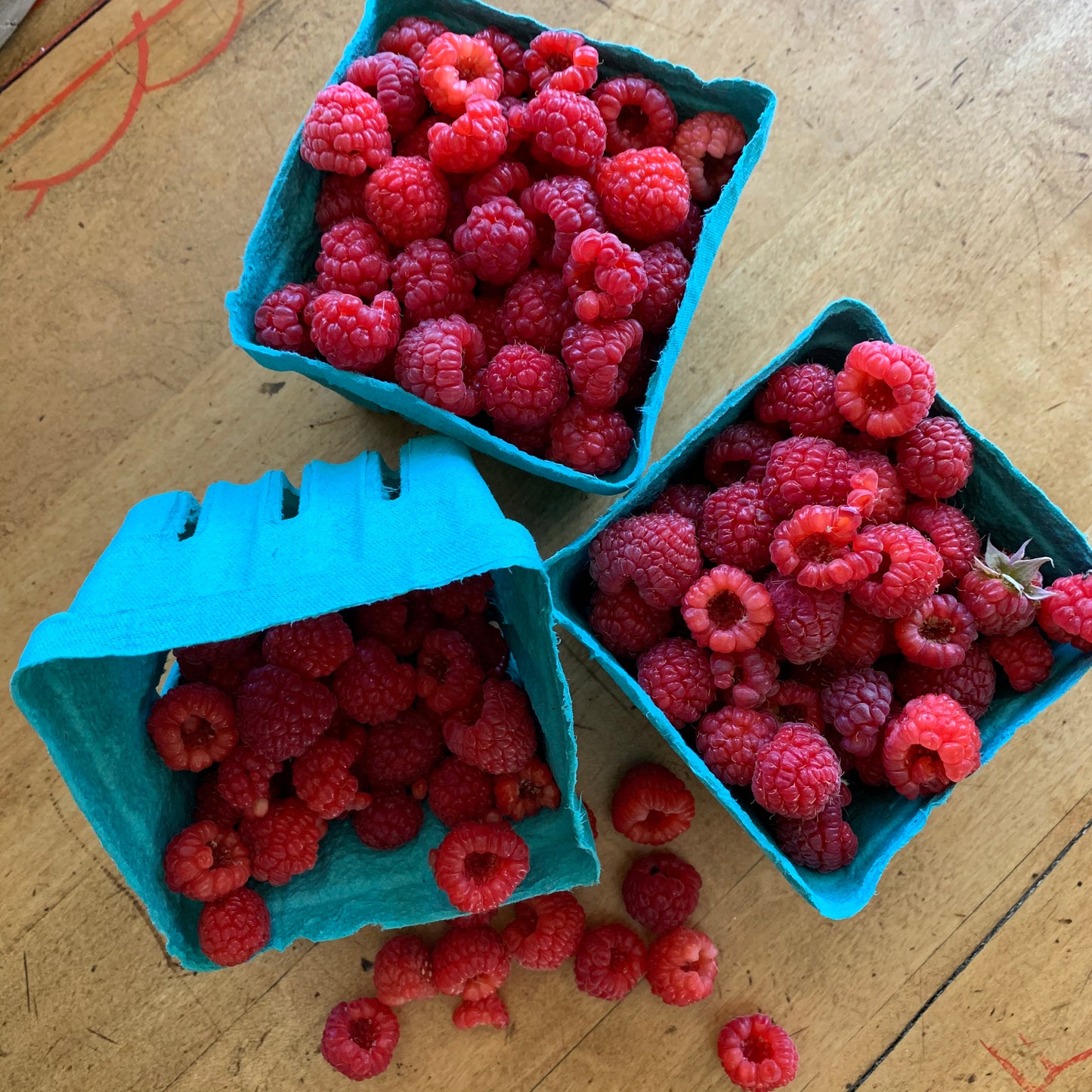 Raspberries ~ Pre-Picked
