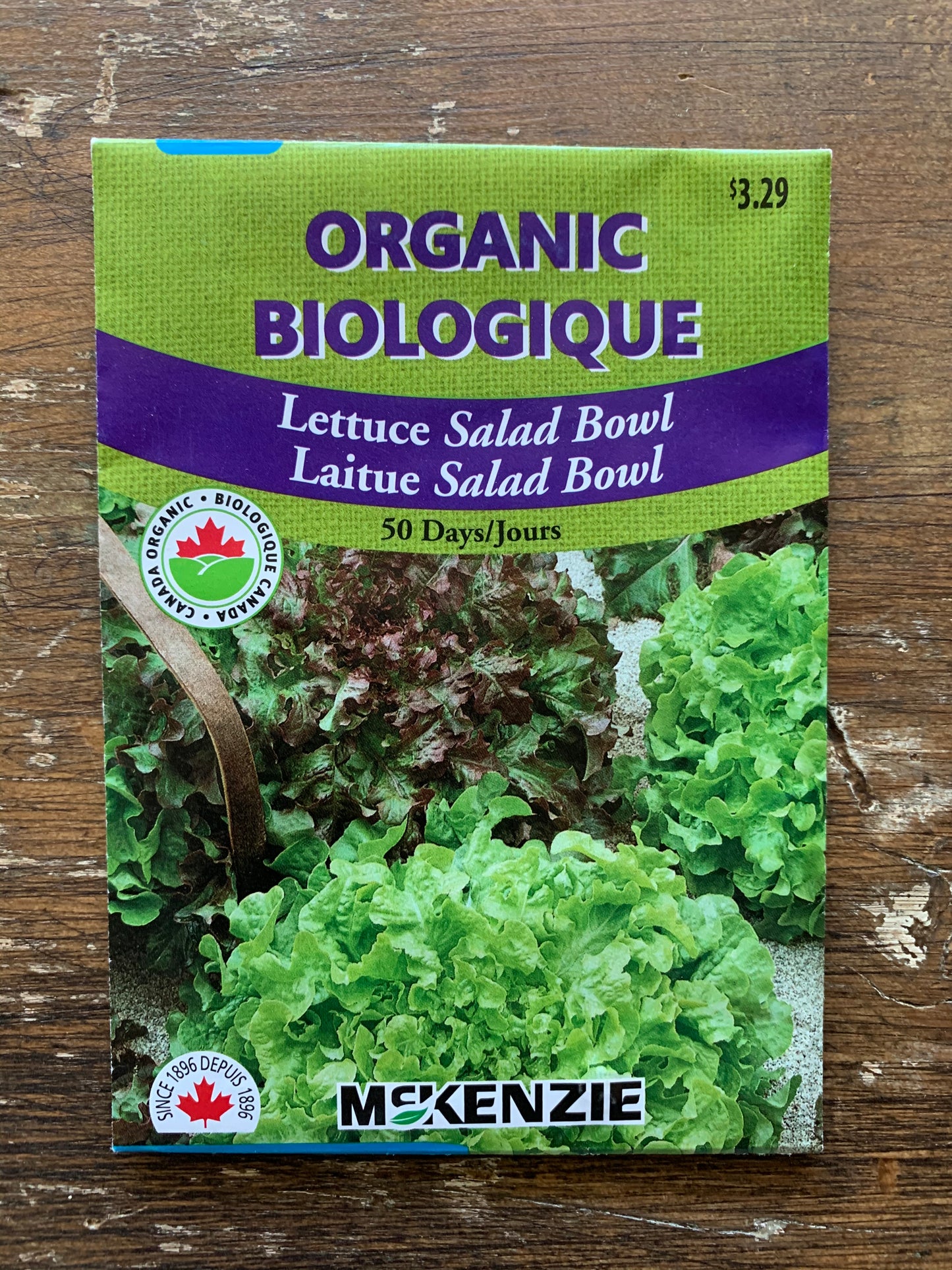 Lettuce - Salad Bowl Seeds